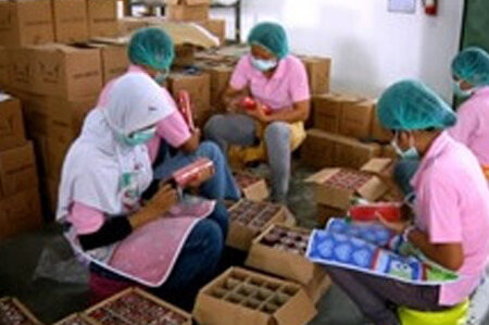 Kaarsen uit Indonesië inpakken